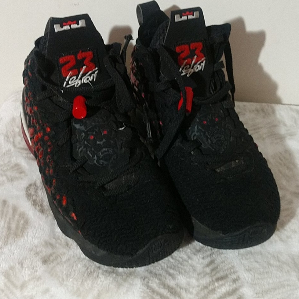 Nike Lebron James 23 Sneakers